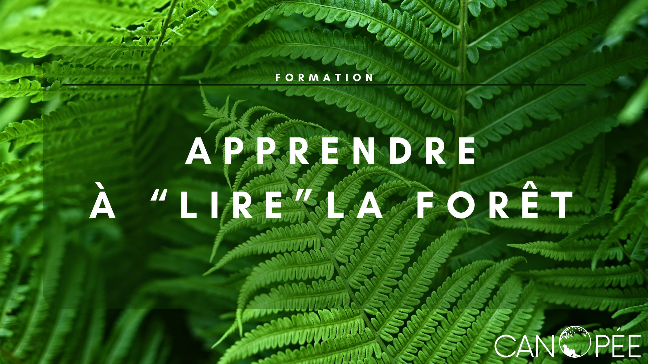Formation Apprendre à "lire" la forêt