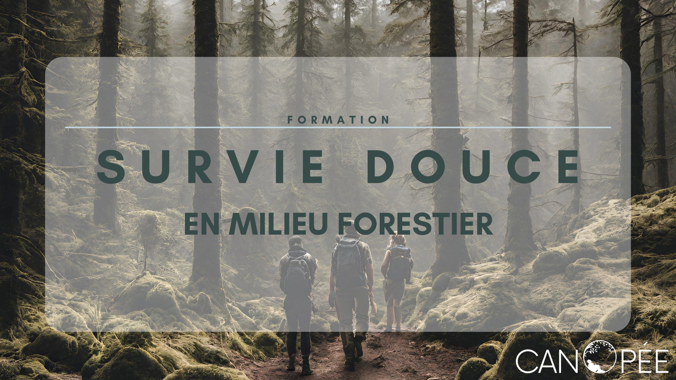 Formation Survie douce en milieu forestier