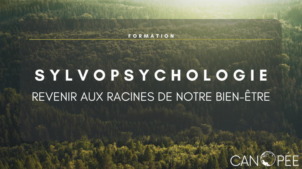 Formation Sylvopsychologie