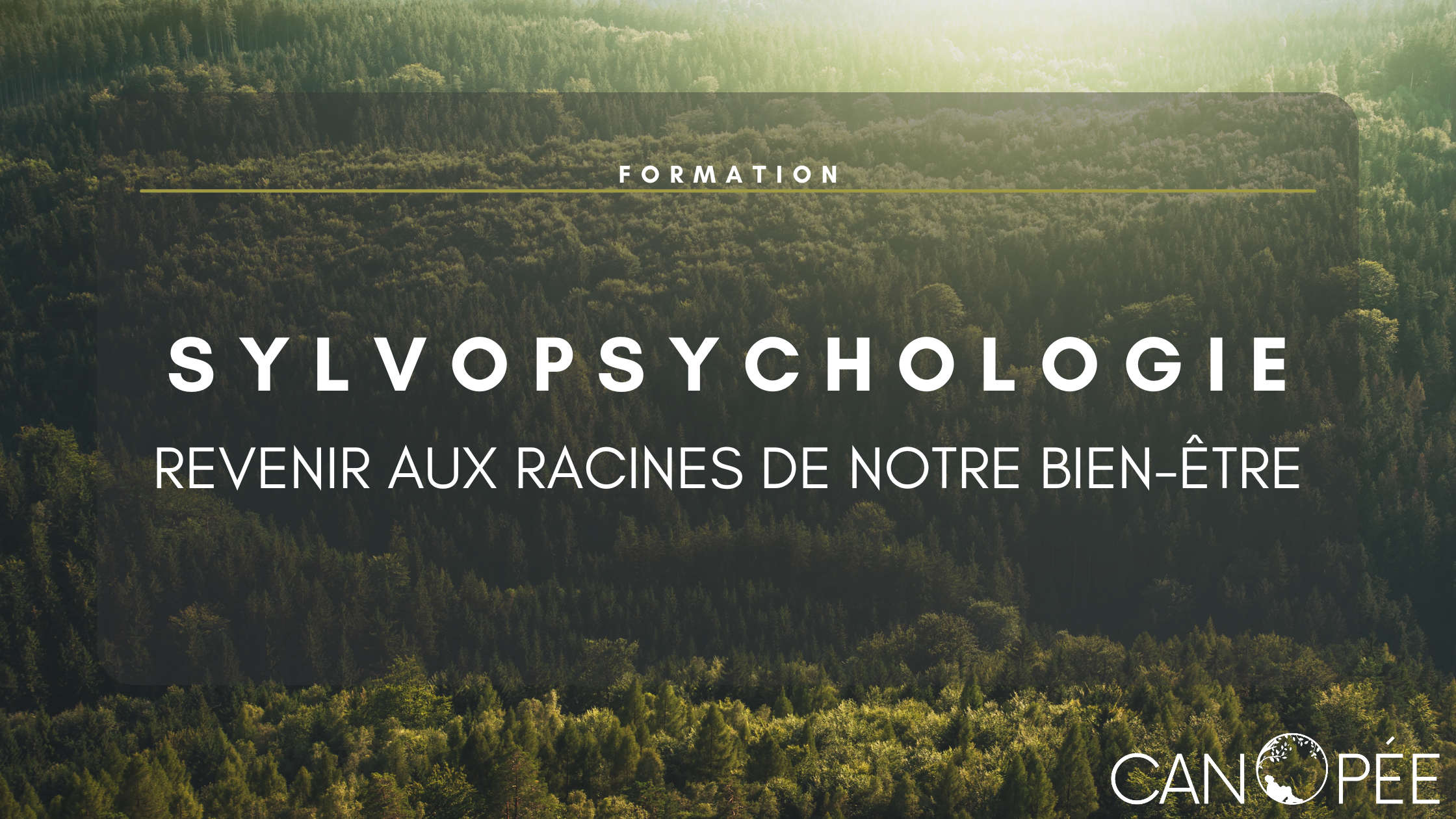 Formation Sylvopsychologie