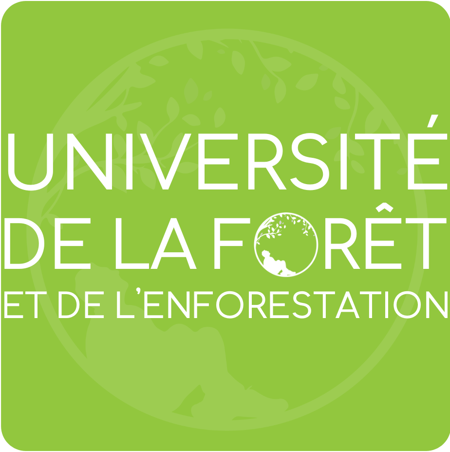 Formation Sylvosophie - Pour renouer avec la sagesse de la forêt